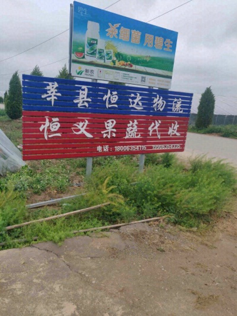水果合作社：一个农民增收的秘密武器